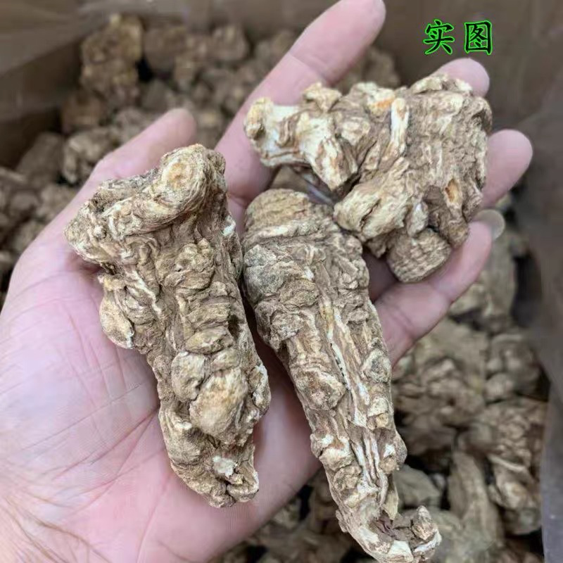 Angelica Head  当归头