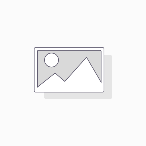 Cured Duck Leg 腊鸭腿/个