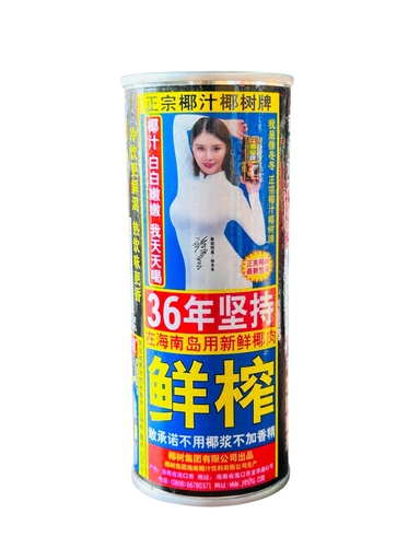 [ysyz] YS Coconut Drink 245ml 椰树牌椰子汁